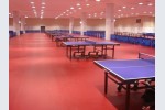 Sàn thể thao Durafloor sản phẩm đa năng cho các bộ môn thi đấu 